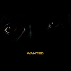 SHECK WES - WANTED [SIL V3 R 100 edit]