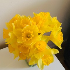 Memories Of A Daffodil... (2023) for solo violin  - Lim Kang Ning