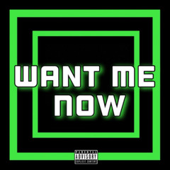 Want Me Now Ft LiDog