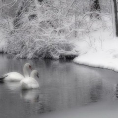 winter