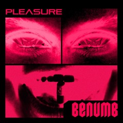 Pleasure