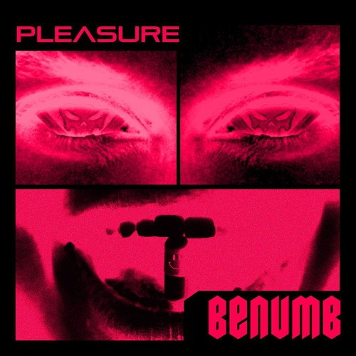 Pleasure
