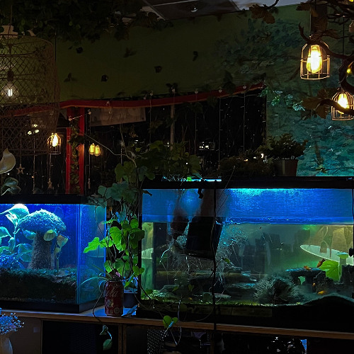 12_12_2024 [Beat Tape]