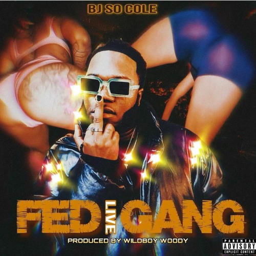 FED GANG REMIX FT - BJSOCOLE BY WILDBOYWOODY
