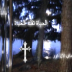 quannnic - life imitates life (mylancore remix)