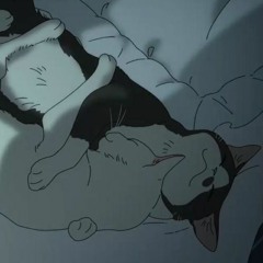 Zhanulka - ты похож на кота