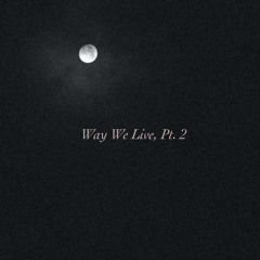 Way We Live, Pt. 2