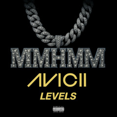 Mmhmm x Levels