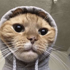 434am - after the party(slowed and reverb)