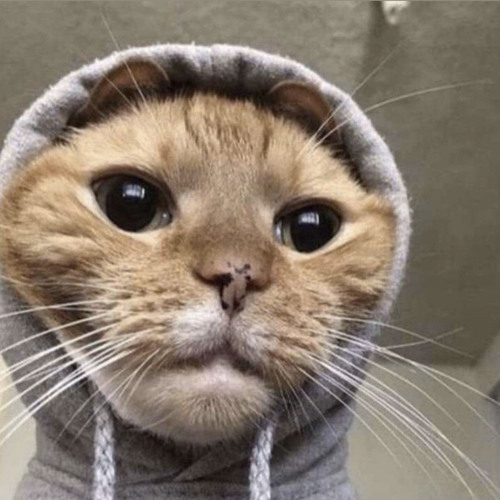 434am - after the party(slowed and reverb)