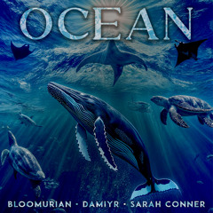 Ocean