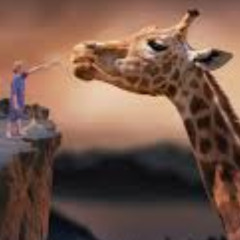 Machen (M+T:KR 2025)