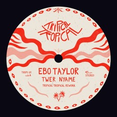 FREE DL : Ebo Taylor - Twer Nyame (Tripical Tropical Rework)
