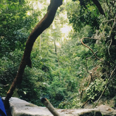 TREES (p. baad beats)