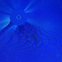 In The Water