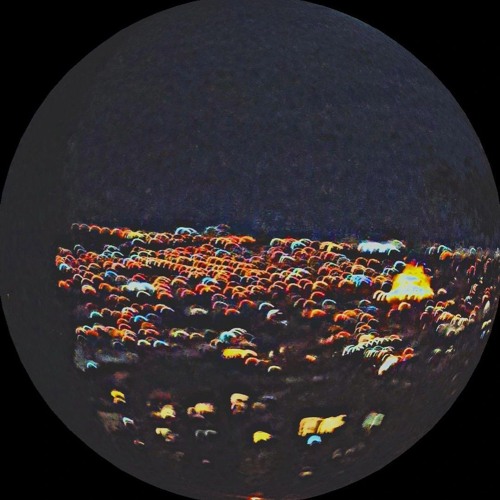 cota areuli mix