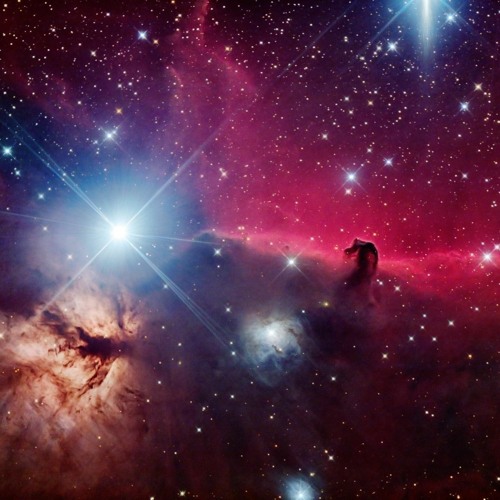 The Disko Starz - These Thoughts About You