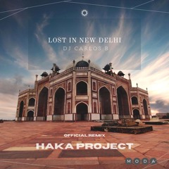 Carlos B - Lost In New Delhi I Haka Project Remix
