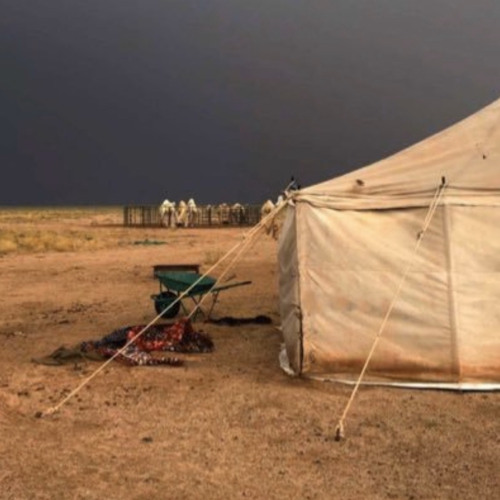 ماعاد لي شف ولا رغبتٍ فيك.