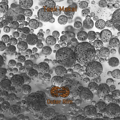 Teak Makai - Outer Rim • Zebra Rec. [ZBREP032] • 2021 (snippet)