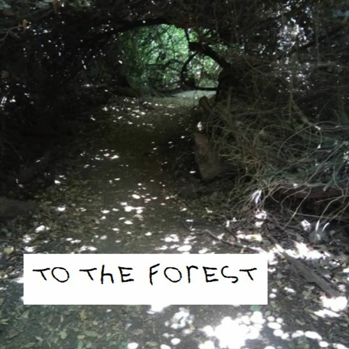 Puma17 - To The Forest [OSC #167]