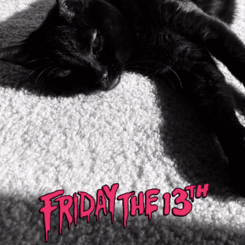 Friday The 13th
