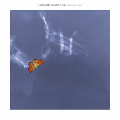 ASIP 2021 - mixed by todos
