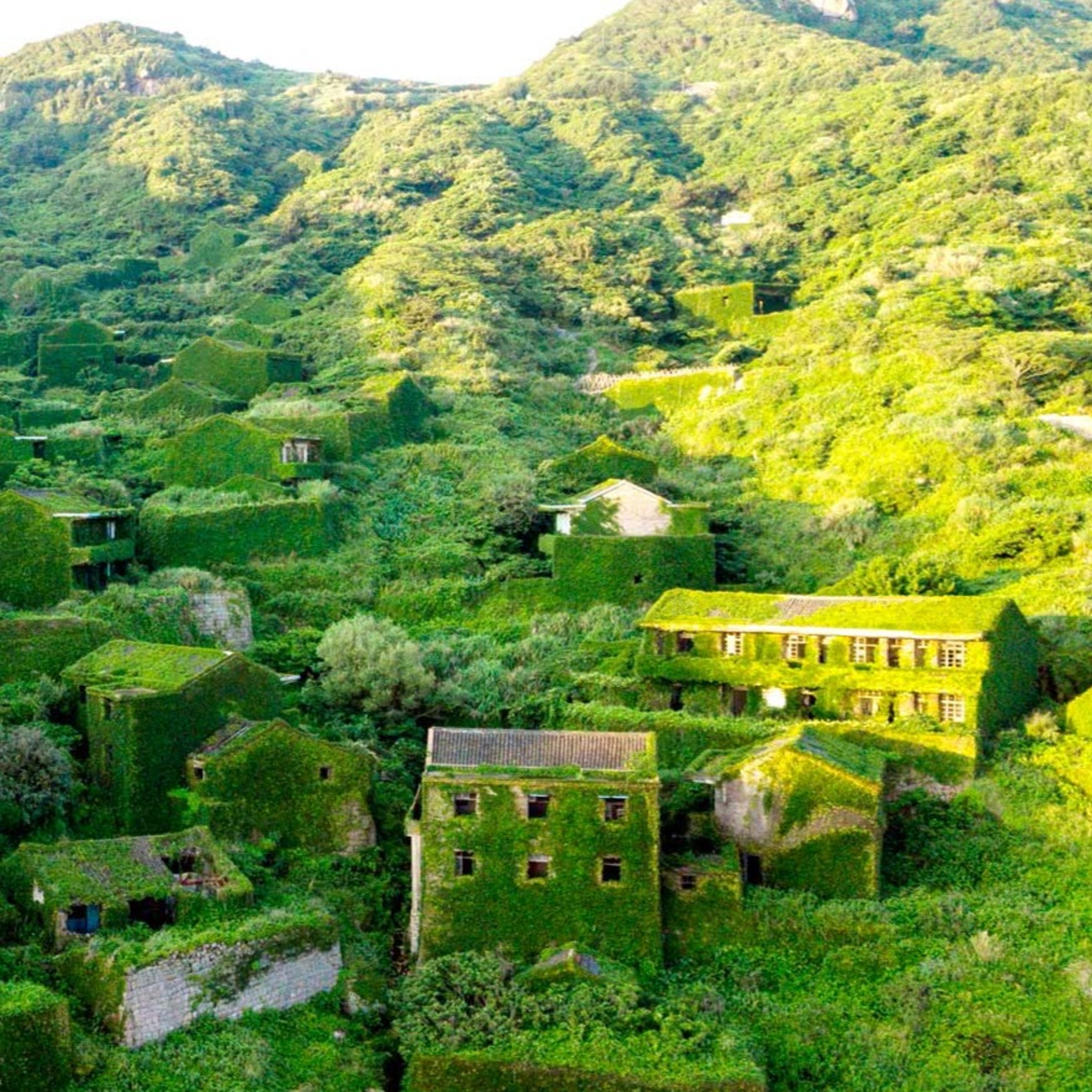 Verdant Recordings