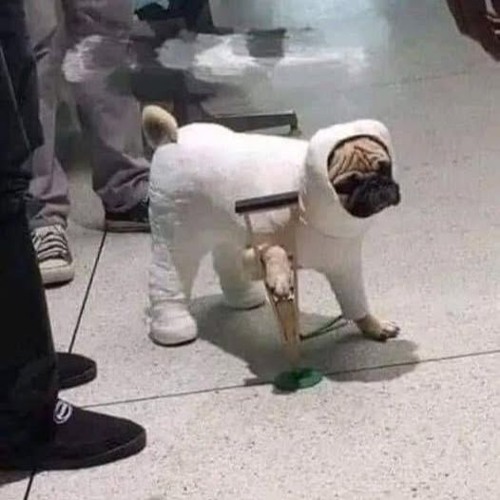 Nhu Lan Dau - Sad Nhân ft Sad Hại, Sad Thủ