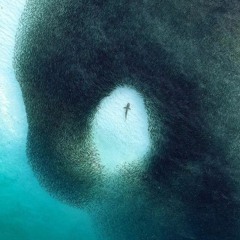 Polyvalent (feat. ATN)