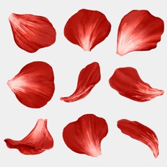 YeWest - Petals (unreleased)