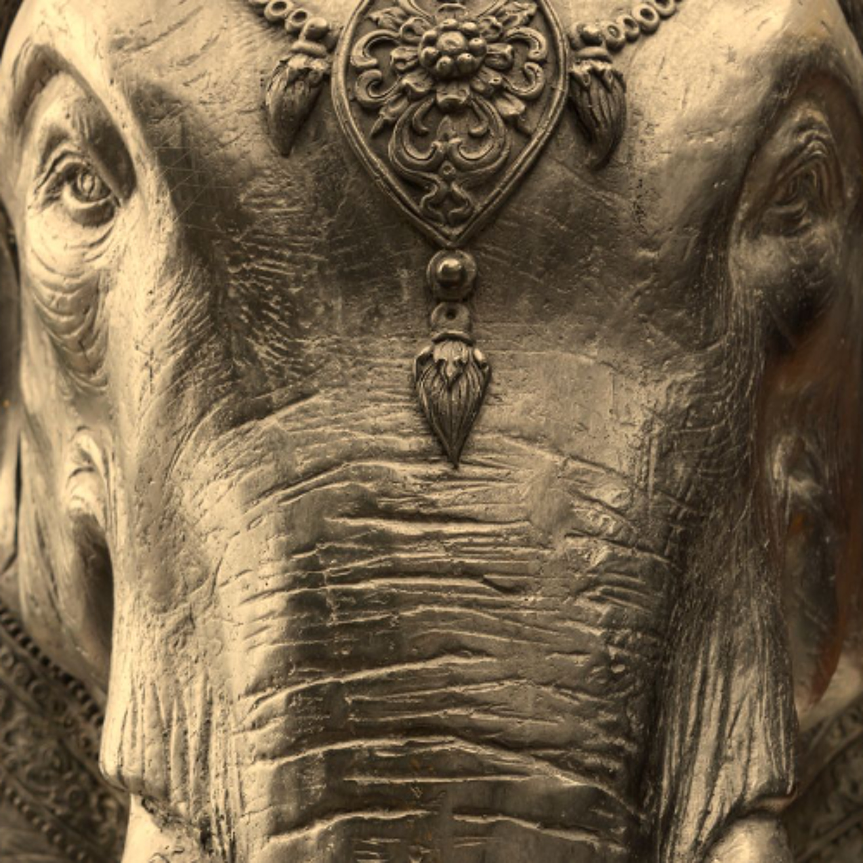 Best of Awake in the World: Your Crushing Elephant Mind