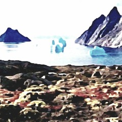 Crackles in the shelter of the frozen coast