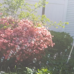 Kitty  In The Hall Way mix