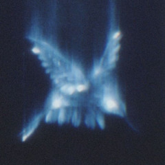 Ignxre