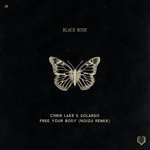 Chris Lake & Solardo - Free Your Body (Noizu Remix)
