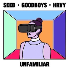 Seeb - Unfamiliar (JDAM REMIX)