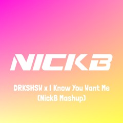 Lilixy, Pitbull - DRKSHDW X I Know You Want Me (NickB Mashup)