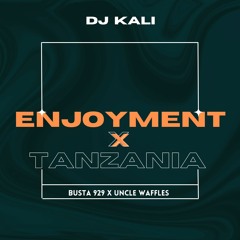 Enjoyment X Tanzania (DJ KALI Amapiano 2022 Mashup) - Busta 929 X Uncle Waffles