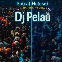 So:Ho x PelauAI