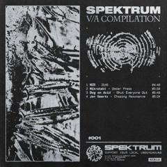 Premiere: Jan Goertz - Chasing Resonance [Spektrum Records]