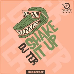 DJ Ter - Shake It Up