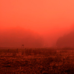 Orphic - A Dark Halloween 2