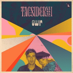 Tacsidermi - Gwir