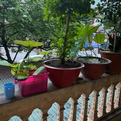 Dương bị 🧊
