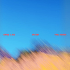 Chris Lake - Savana (y2wu Remix)