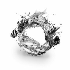 White Haze by Therapi