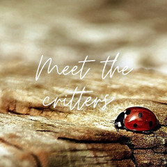 Meet The Critters