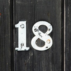 Project 18