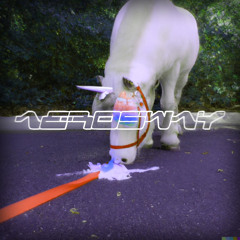 Unicorn On Ketamine - LAMAMA (AeroSway Remix)